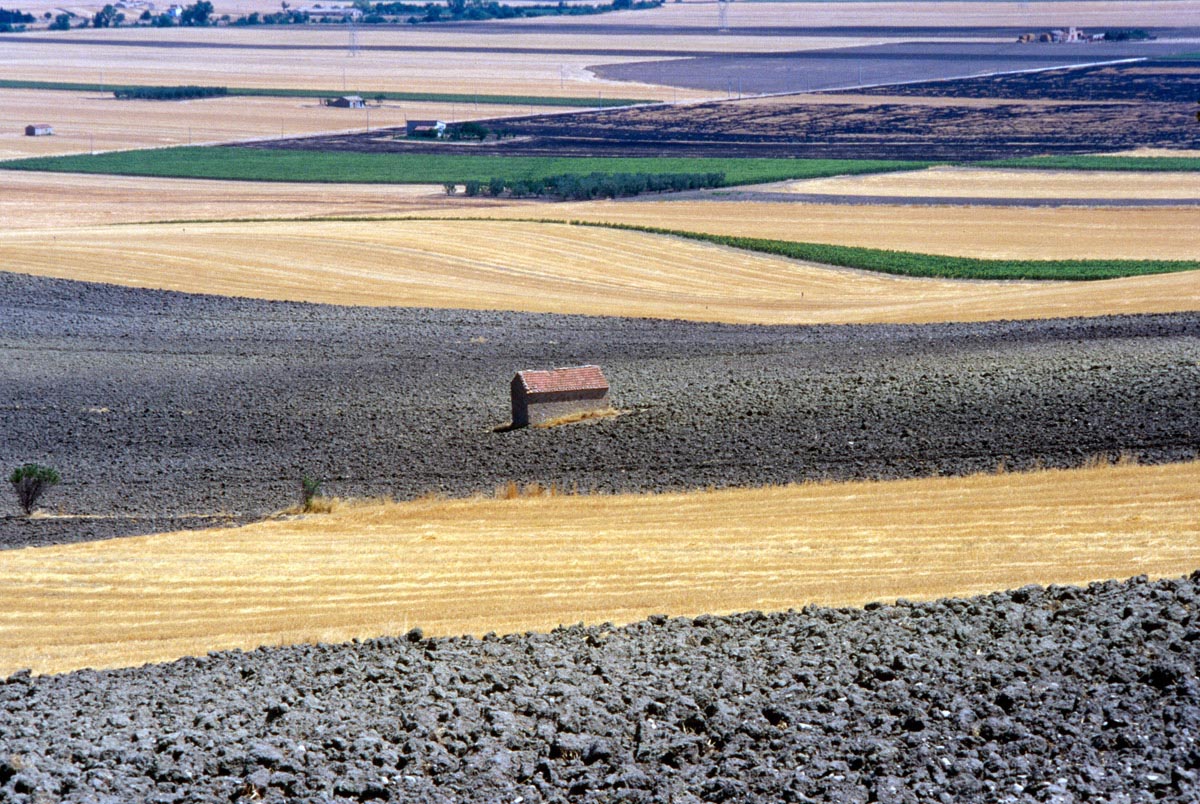 Paesaggio del Tavoliere pugliese, vicino Foggia.