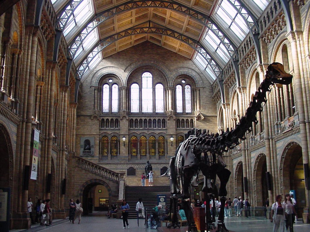il Natural History Museum