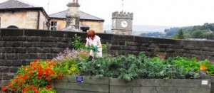 Todmorden, in Inghilterra: un'abitante coltiva un pezzo di suolo pubblico.