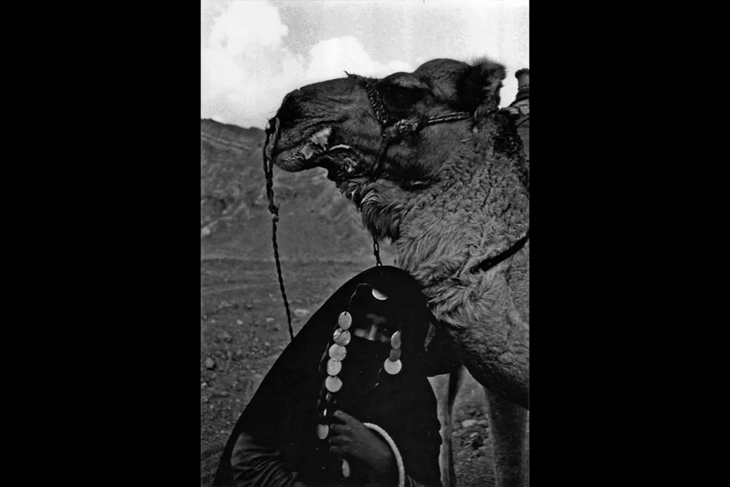 elisa-leonelli-camel