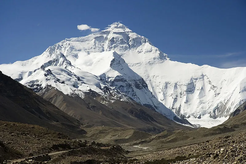 WWF, scoperte 211 nuove specie sull’Himalaya