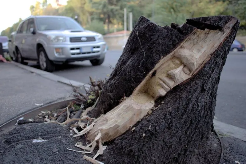 Roma, giovane artista incide i tronchi: <br />così gli alberi morti tornano a vivere