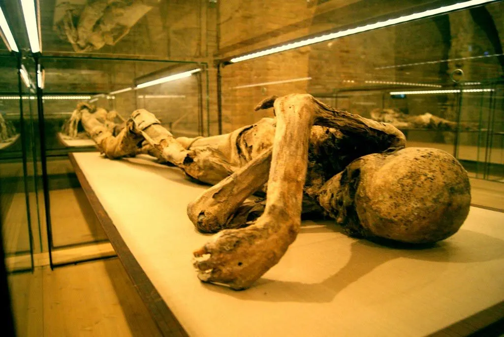 museo-cripta-monsapolo-tronto