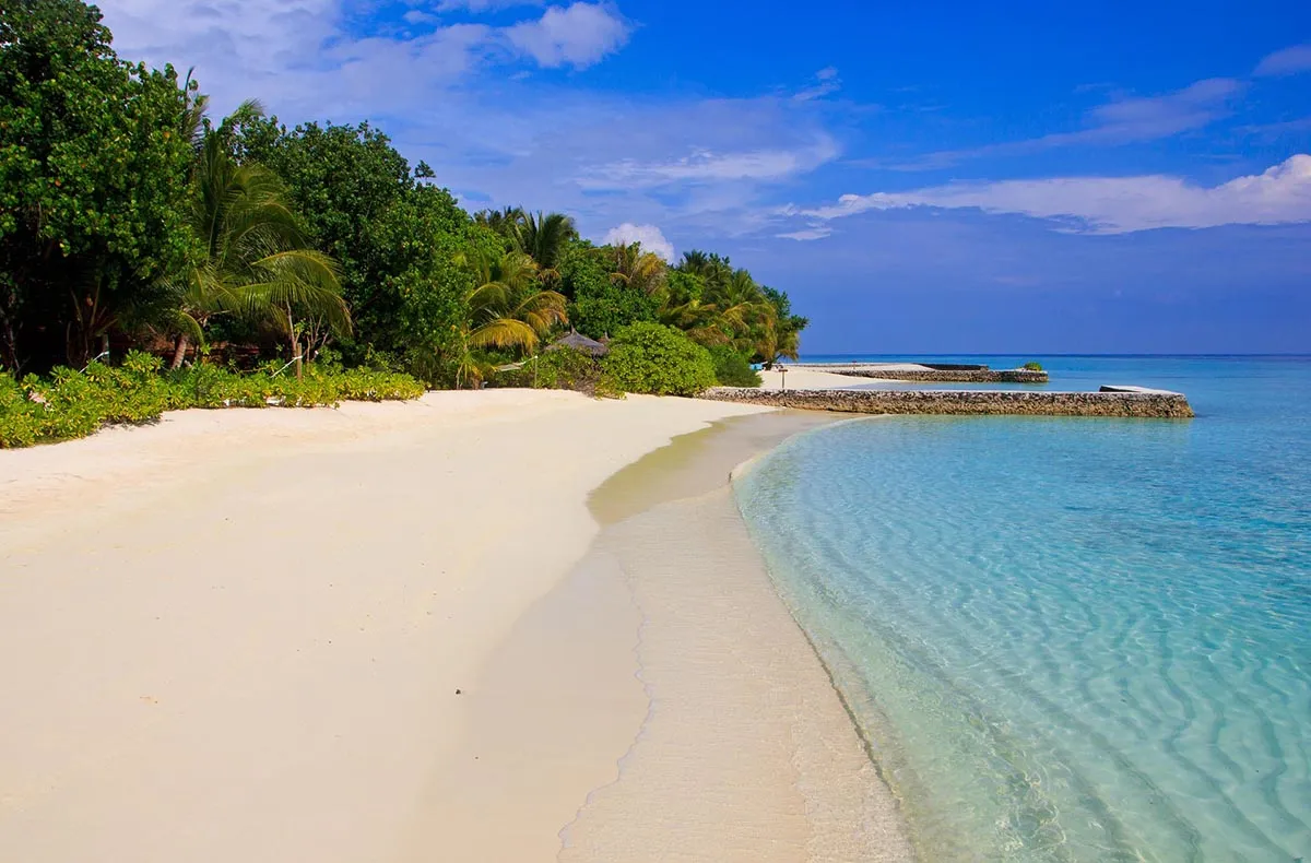 Cercasi libraio per un’isola <br />delle Maldive: ecco i requisiti <br />per il lavoro dei sogni