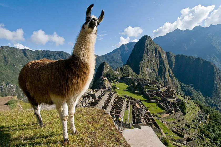 Machu Picchu, l'ultimo rifugio dell'Inca re sulle Ande peruviane, a 4.200 metri di quota. (Foto di Mario Verin).