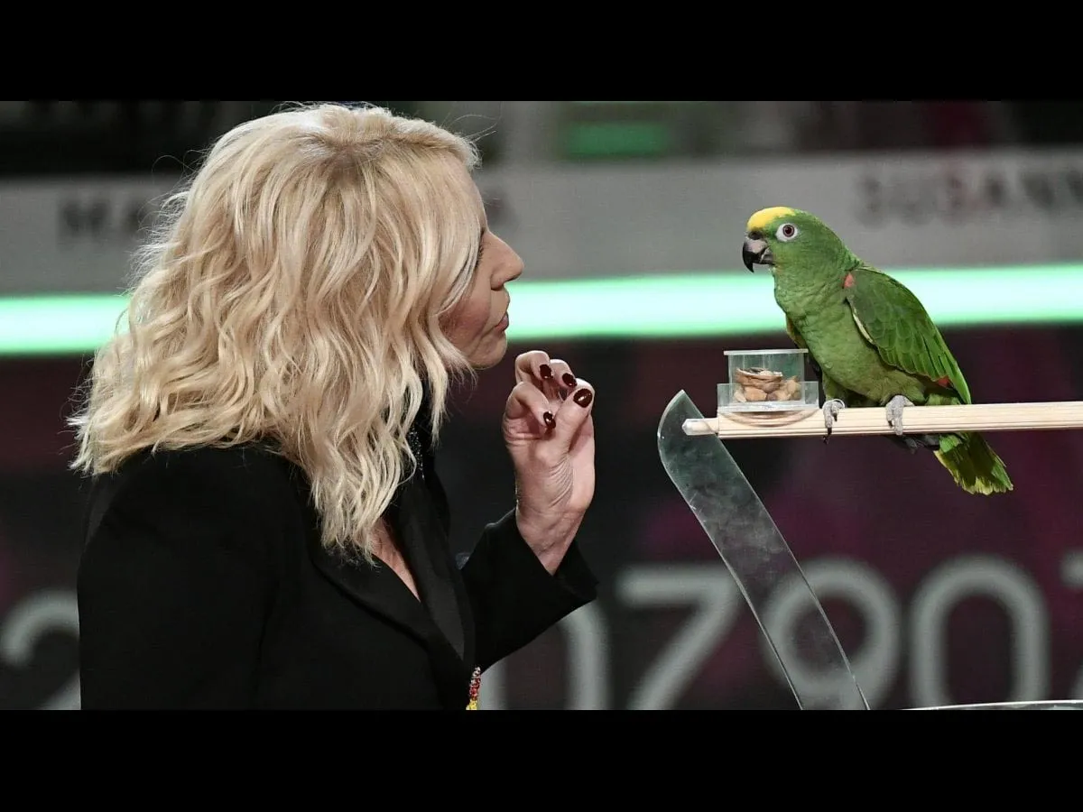 Cara Antonella Clerici, ascolta questa storia <br />(vera) di Schatz, pappagallo siculo-tedesco