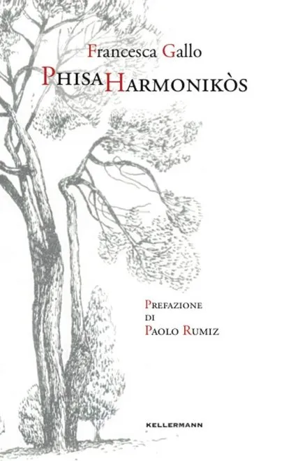 Francesca Gallo, “Phisa Harmonikos”