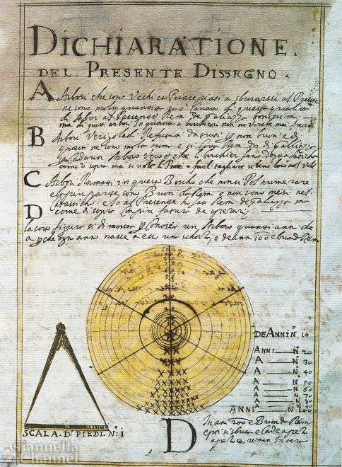 Airone Magazine - Serenissima, Venezia - Dal catastico di Zorzi de Christofolo (1638) 'con boschieri il meglio intelligenti e pratichi'