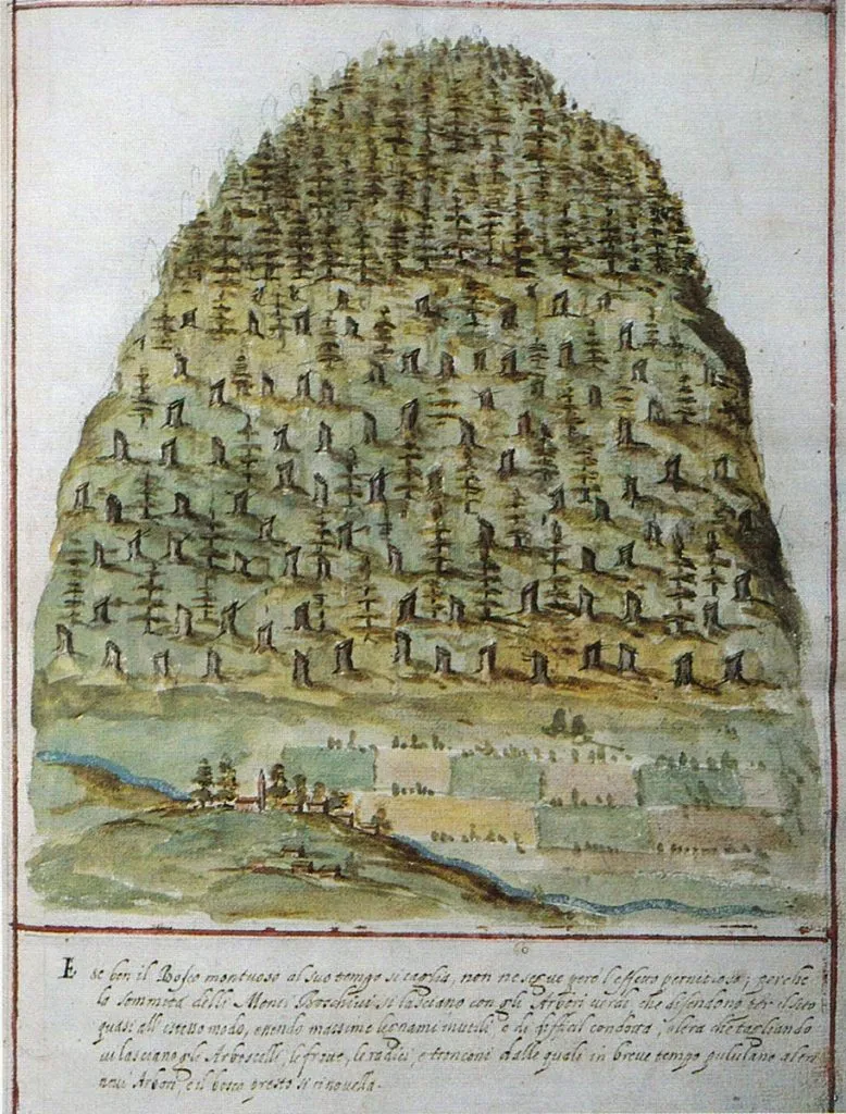 Airone Magazine - Venezia, Serenissima - Raccordo di Paulini (1608) - Montagna dopo taglio ordinato del bosco