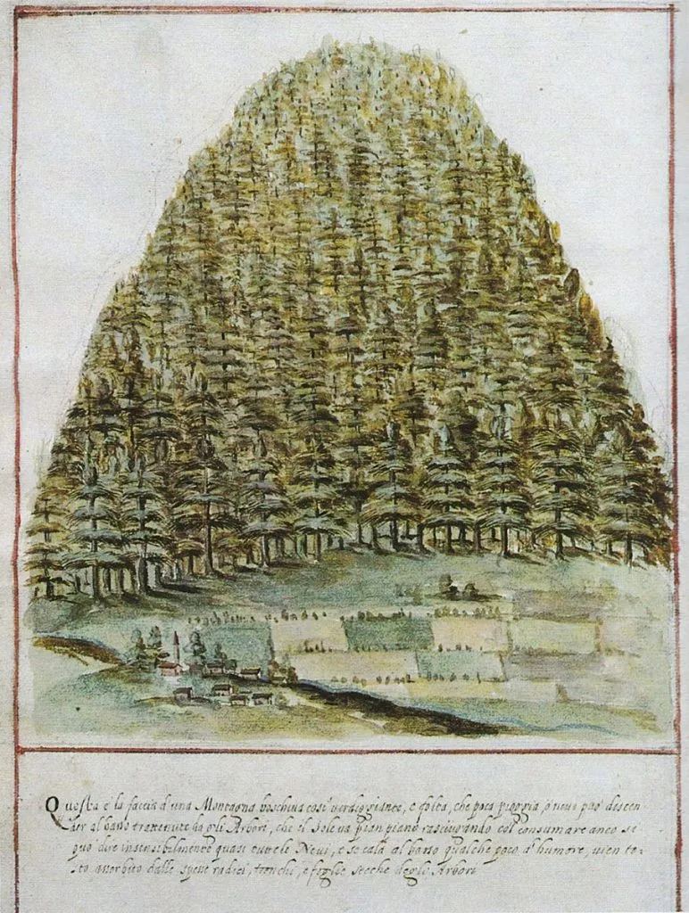 Airone Magazine - Venezia, Serenissima - Raccordo di Paulini (1608) - Montagna rivestita da alberi