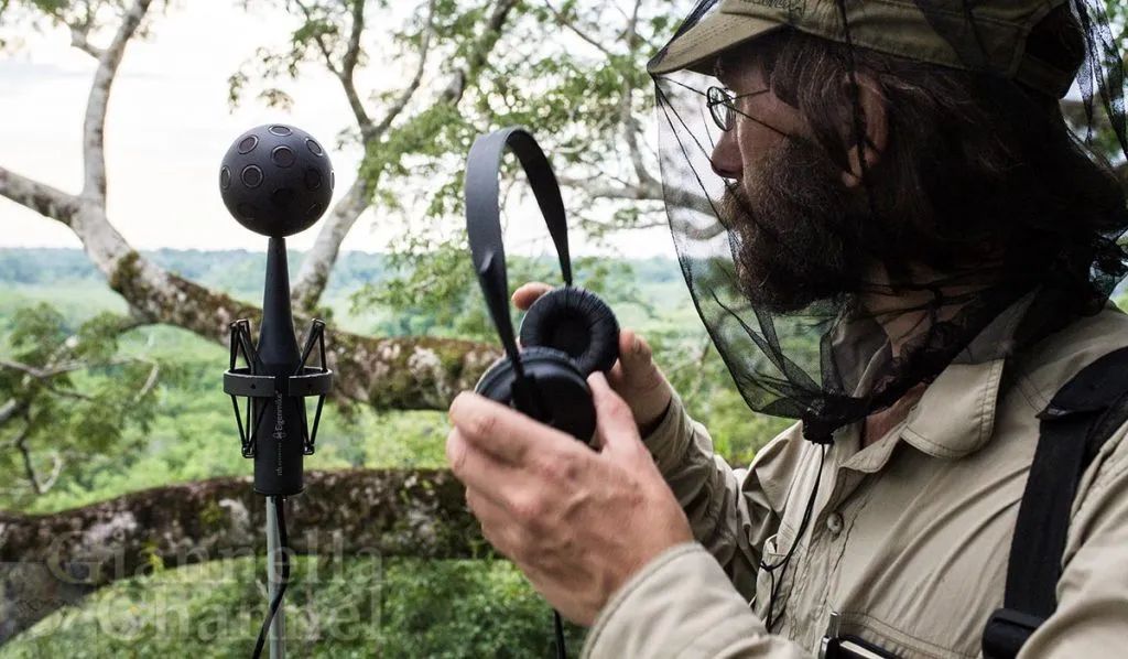 David Monacchi sistema microfoni per suoni natura Ecuador