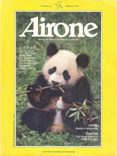 Airone-febbraio-1988