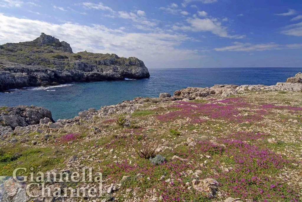 La costa tra Gallipoli e Santa Maria Al Bagno