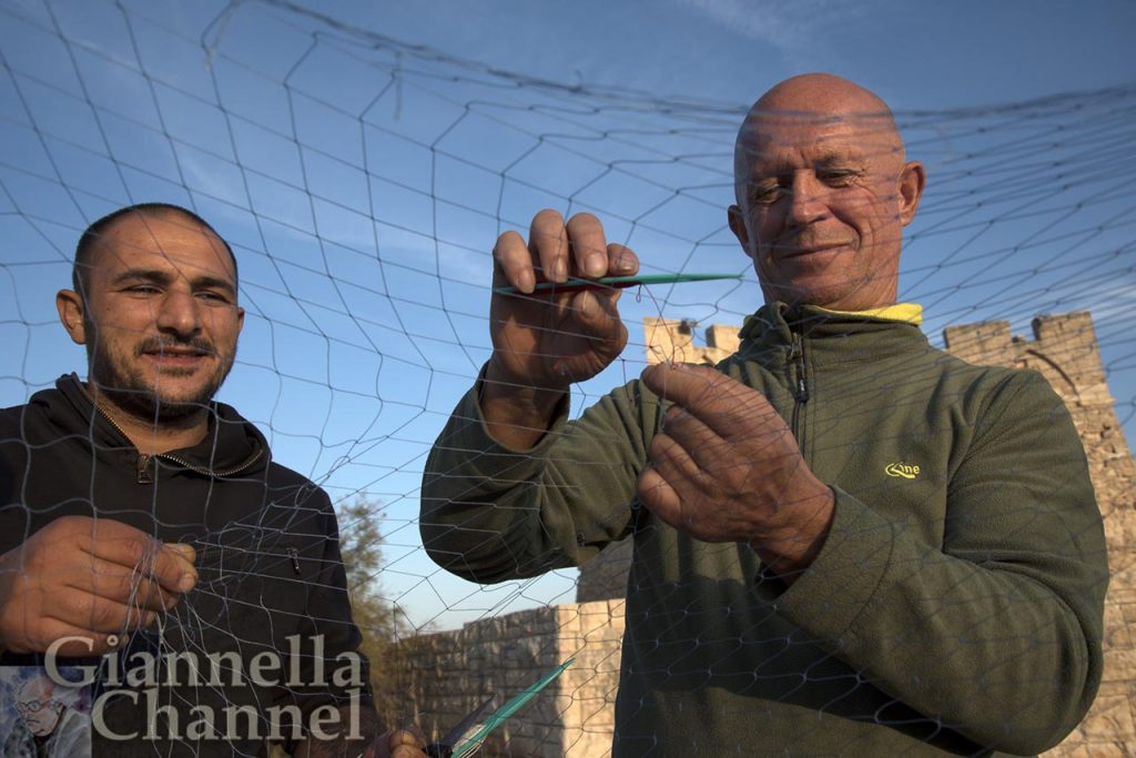 Cosimino De Biasi, pescatore da 40 anni di Torre S. Sabina, uno dei partecipanti al sistema di pesca sostenibile attuata dal parco. Fa parte della Cooperativa pescatori “Emma”.