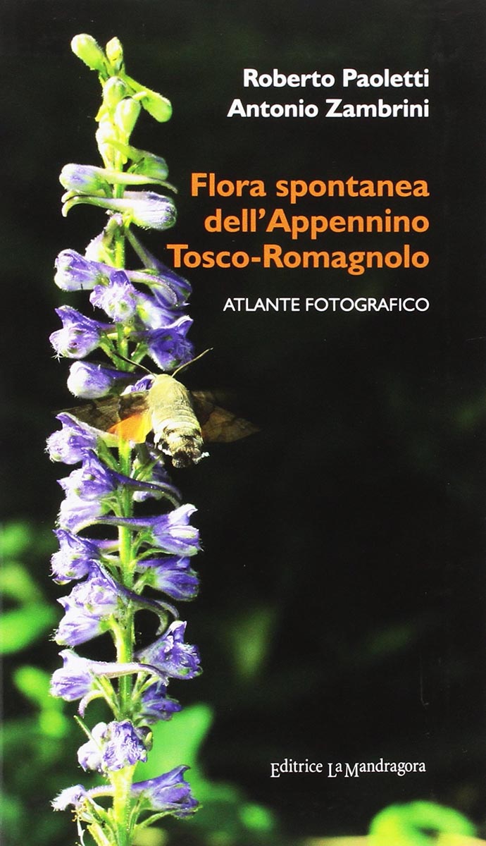 La Mandragora - Flora spontanea Appennino Tosco-Romagnolo. Atlante Fotografico