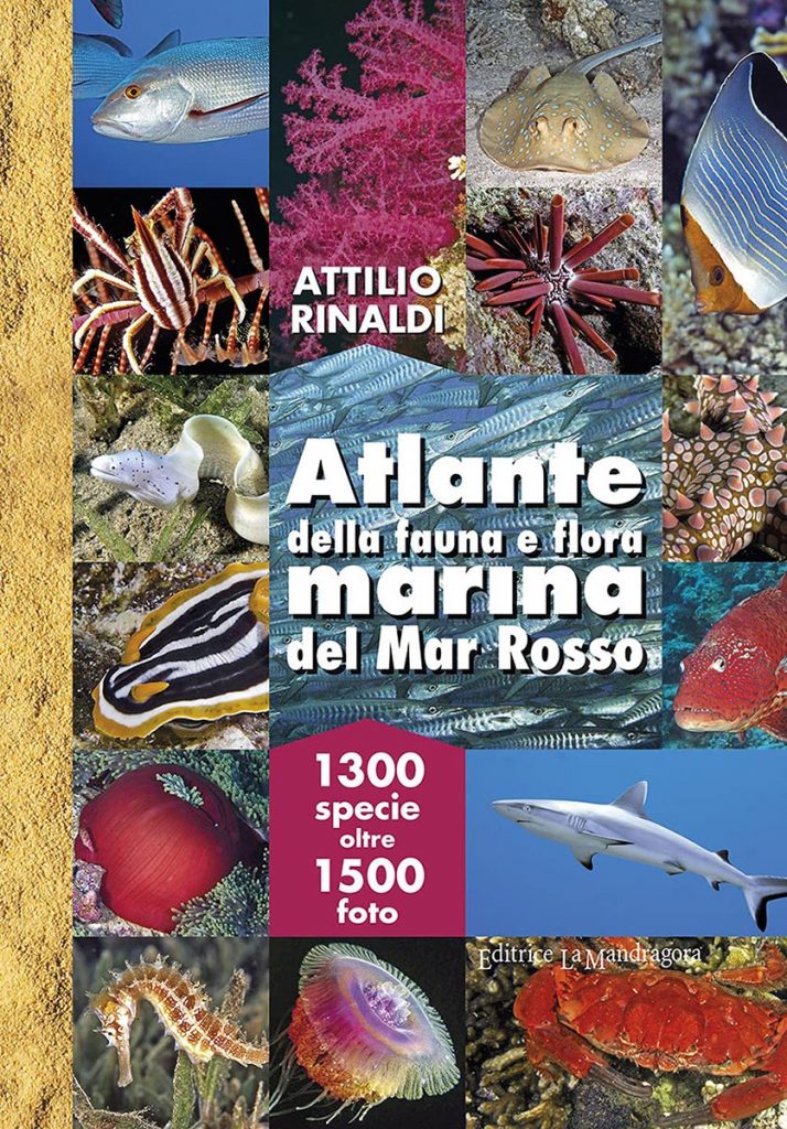 Attilio Rinaldi - Atlante fauna flora marina Mar Rosso