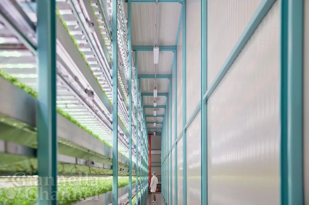 Vertical Farming - Laboratorio agroalimentare, ricerca