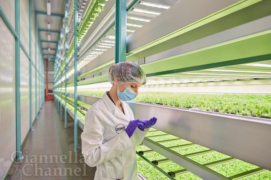Vertical Farming - Laboratorio agroalimentare, ricerca